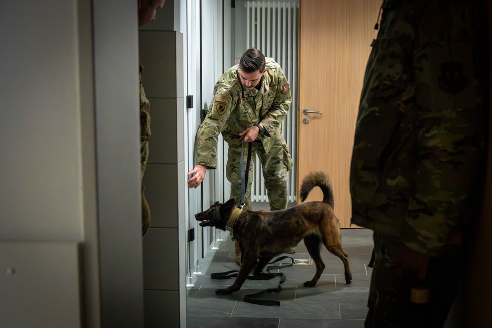 Handler, detection dog team up for 52nd Security Forces Squadron certification in time for the holidays