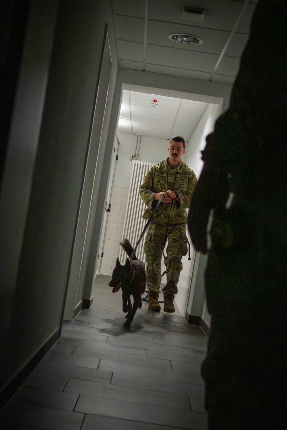 Handler, detection dog team up for 52nd Security Forces Squadron certification in time for the holidays