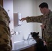 Handler, detection dog team up for 52nd Security Forces Squadron certification in time for the holidays