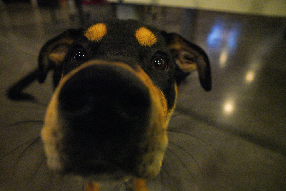 HPT and First Sergeants collaborate to spread holiday cheer