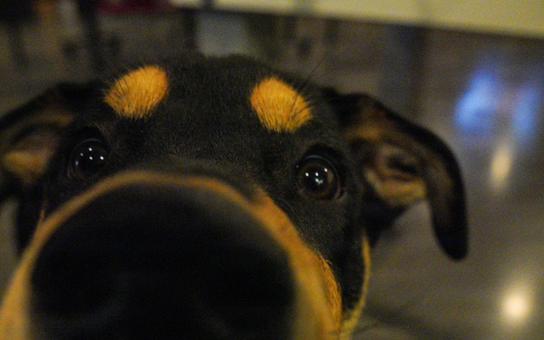 HPT and First Sergeants collaborate to spread holiday cheer