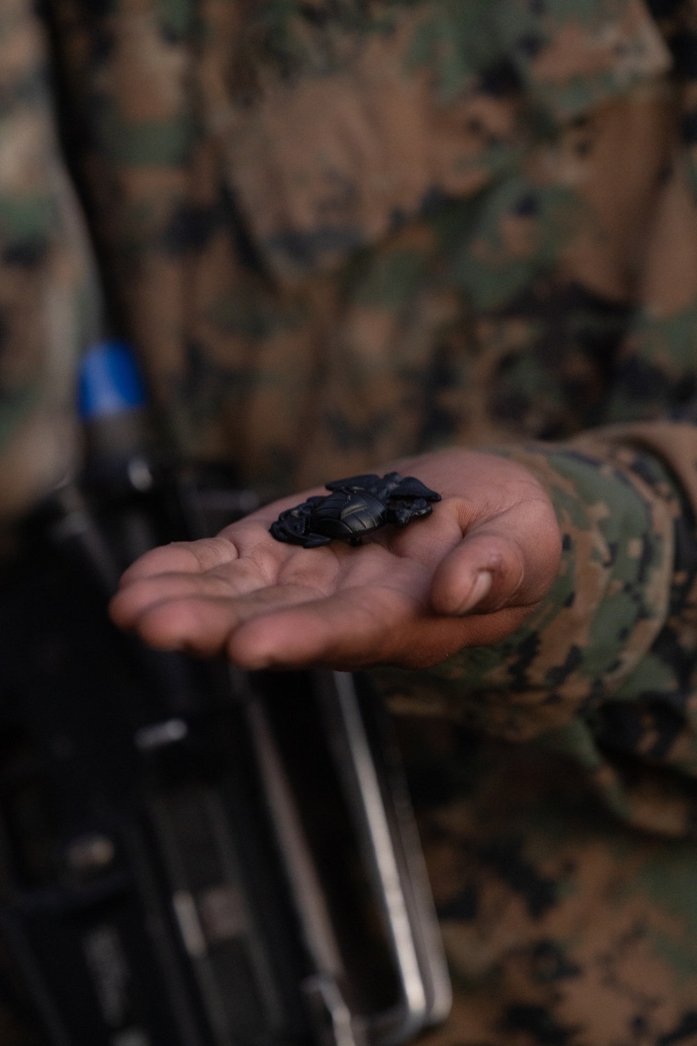 Mike Company Eagle, Globe and Anchor Ceremony