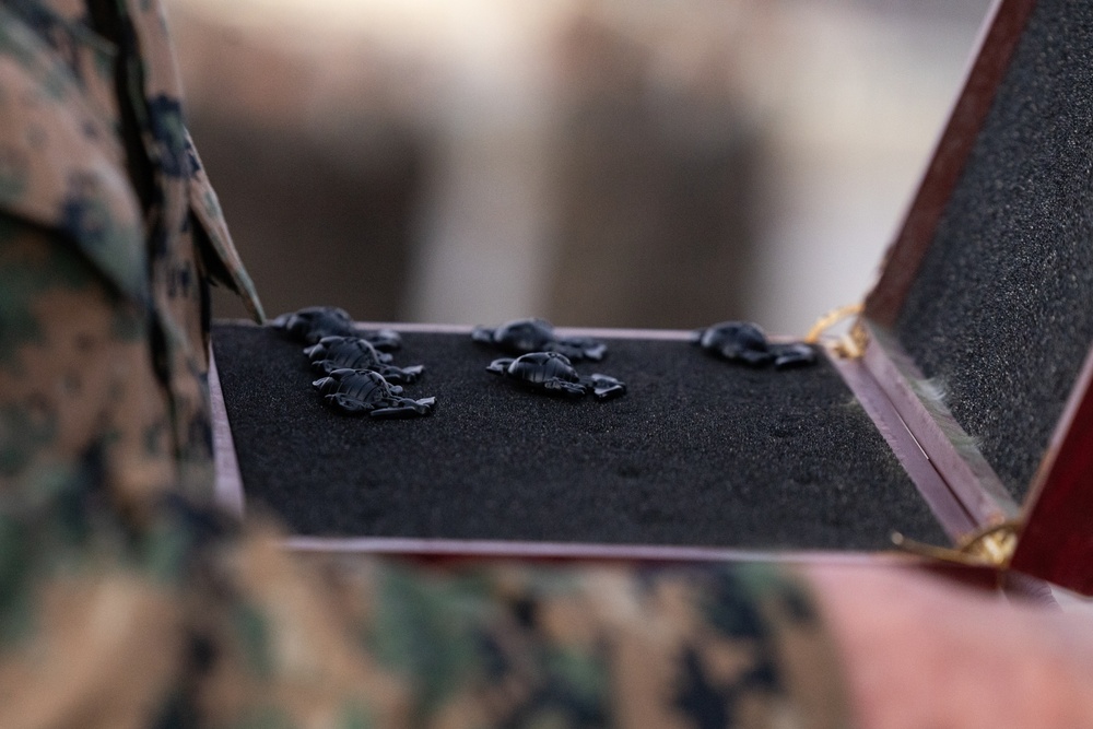 Mike Company Eagle, Globe and Anchor Ceremony