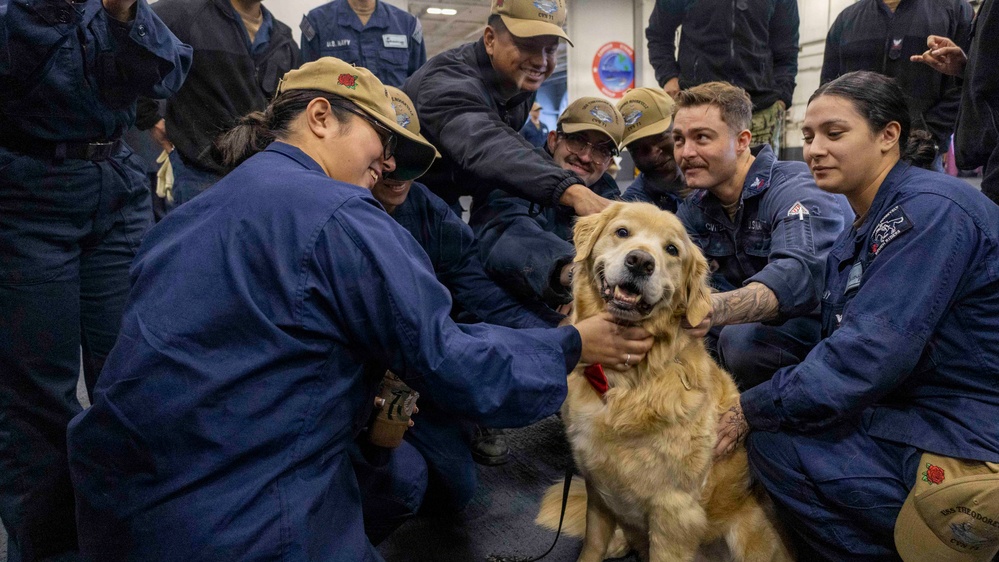 Mutts with a Mission Visit USS Theodore Roosevelt