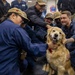 Mutts with a Mission Visit USS Theodore Roosevelt