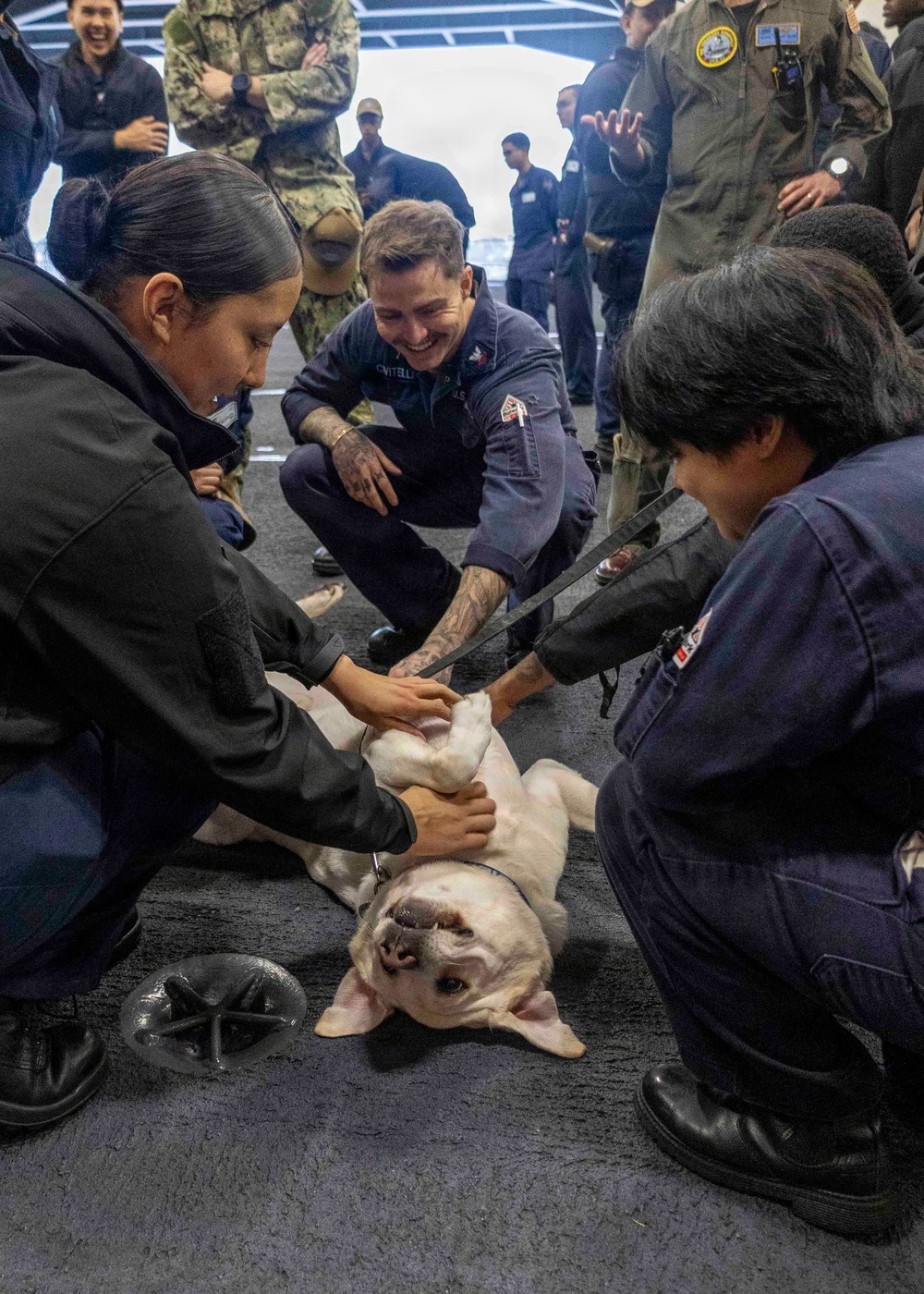 Mutts with a Mission Visit USS Theodore Roosevelt