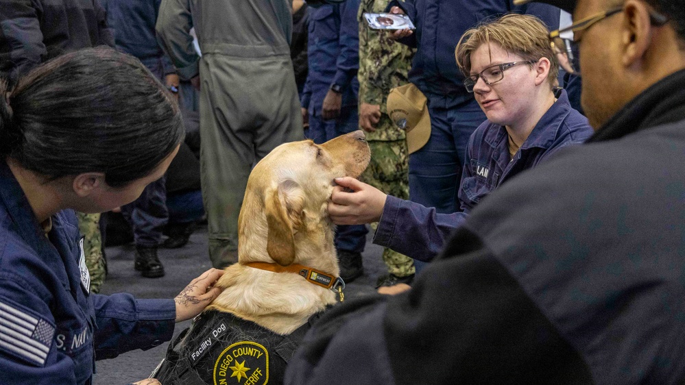 Mutts with a Mission Visit USS Theodore Roosevelt