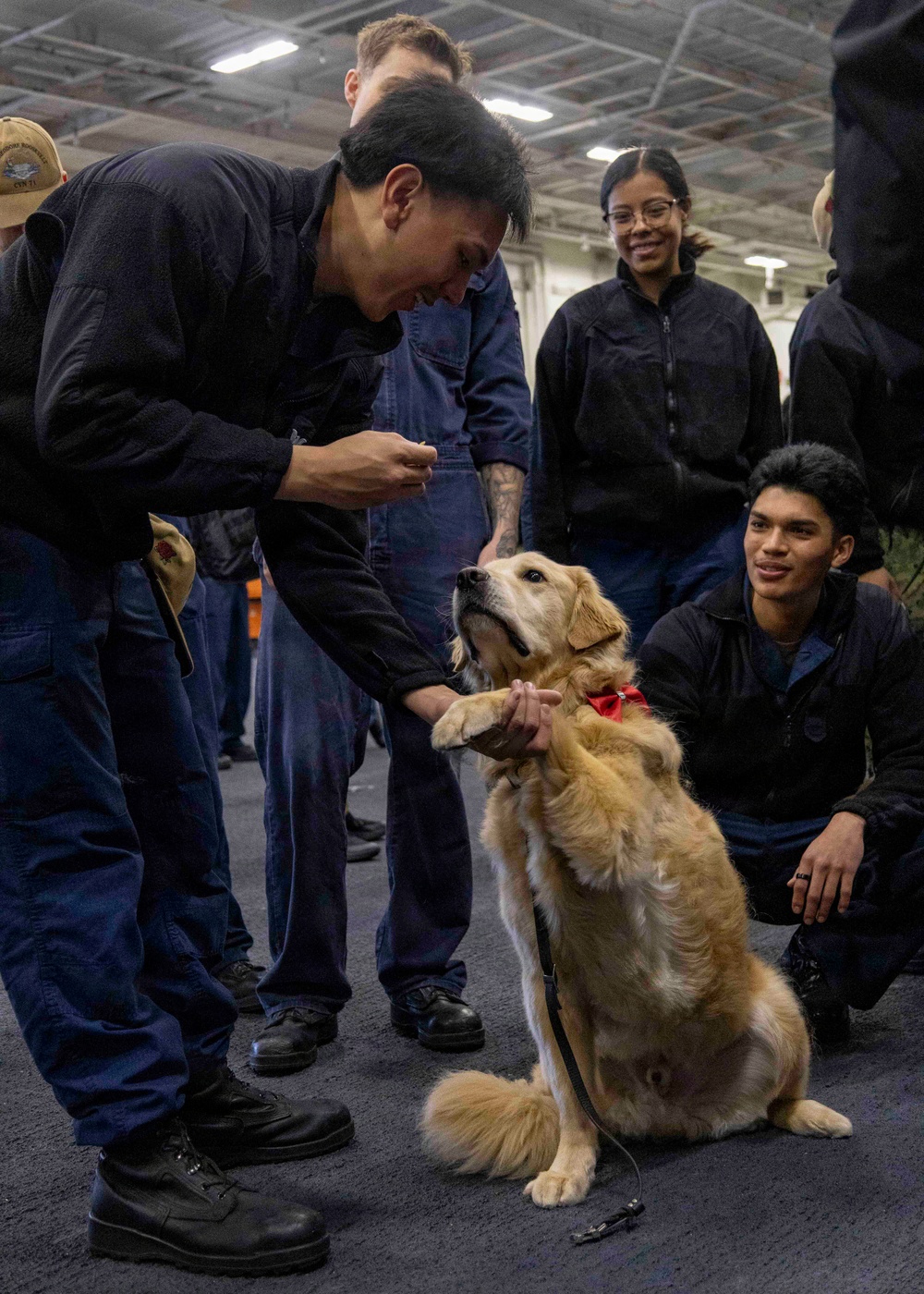 Mutts with a Mission Visit USS Theodore Roosevelt