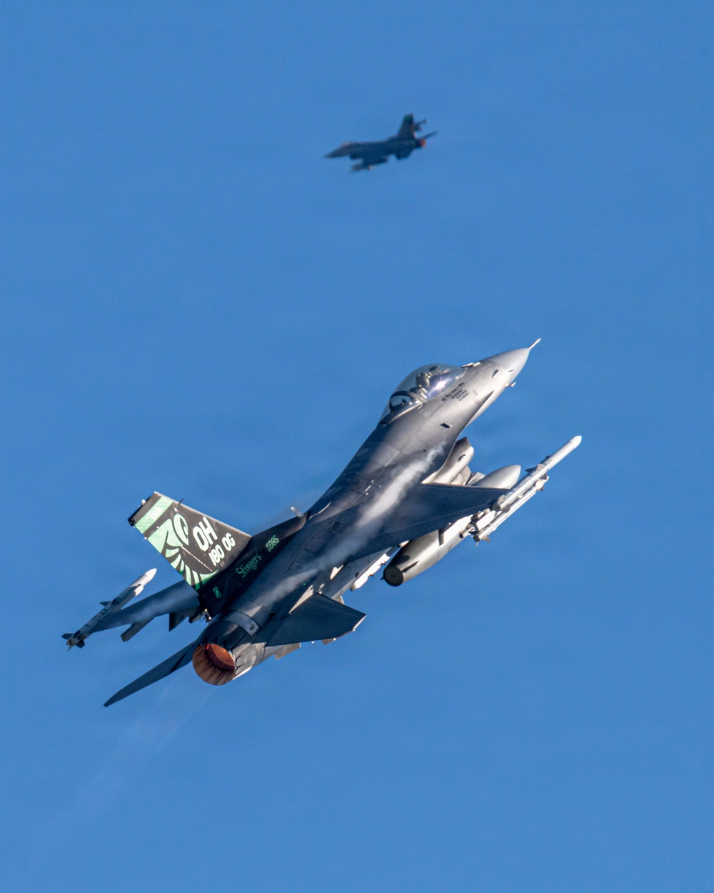 5th Annual Stinger 5K