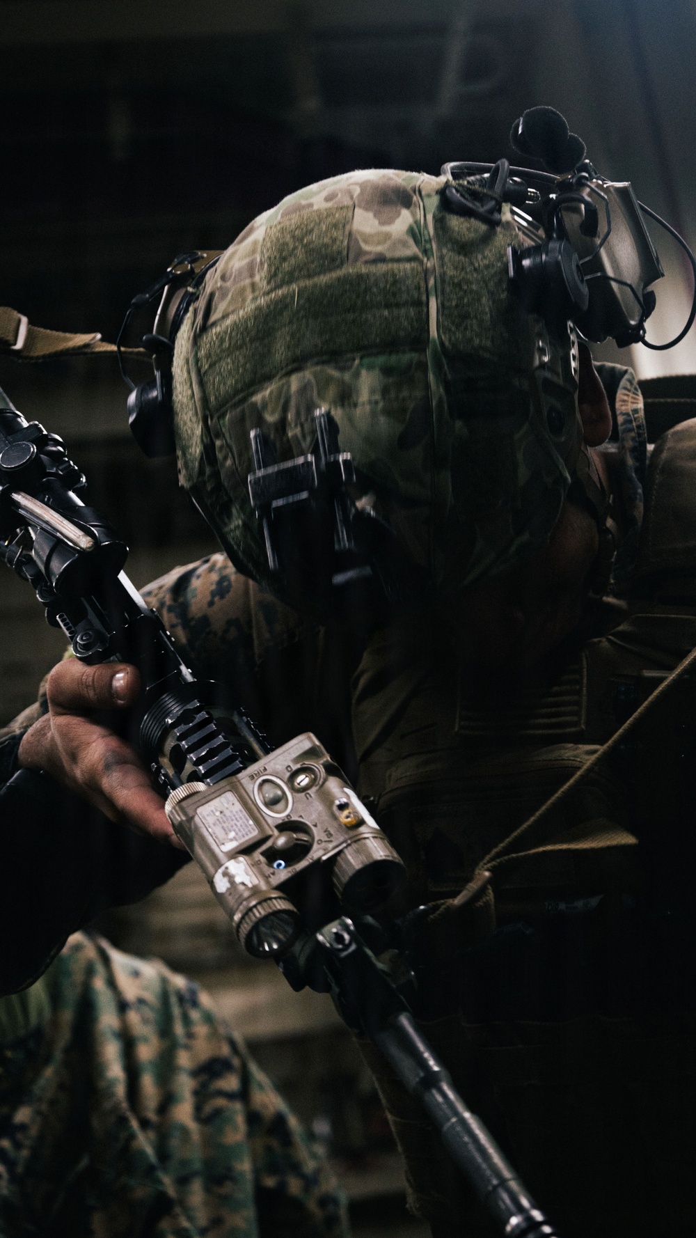 31st MEU | TRAP conducts call away drills