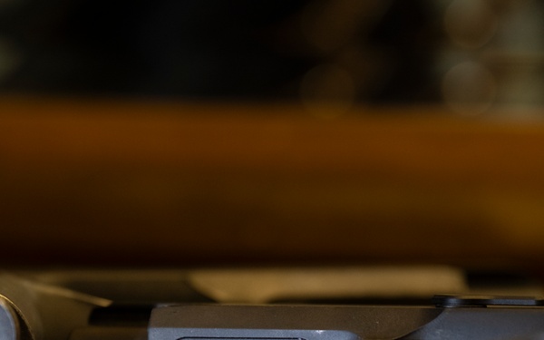 Ceremonial M17 Pistols Honor Tomb Guard Sentinels