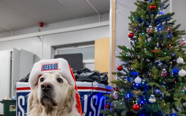 Soldiers spend time with USO canine volunteer at holiday event in Latvia