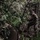 22nd MEU(SOC) | CEB Airstrip Improvement Operations in Camp Santiago During Deployment