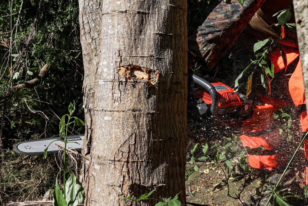22nd MEU(SOC) | CEB Airstrip Improvement Operations in Camp Santiago During Deployment