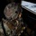 11th Airborne Division at JPMRC 2025