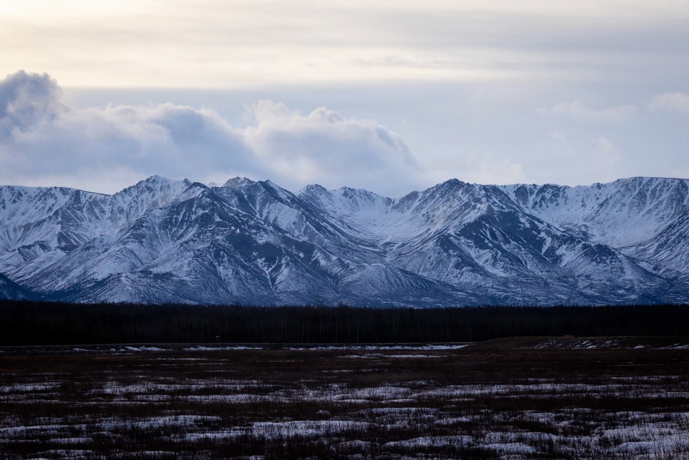 Military Police Train at JPMRC 2025
