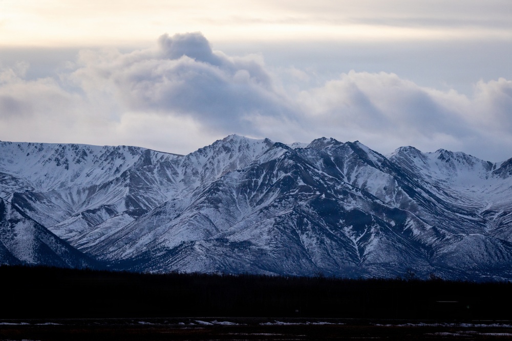 Military Police Train at JPMRC 2025
