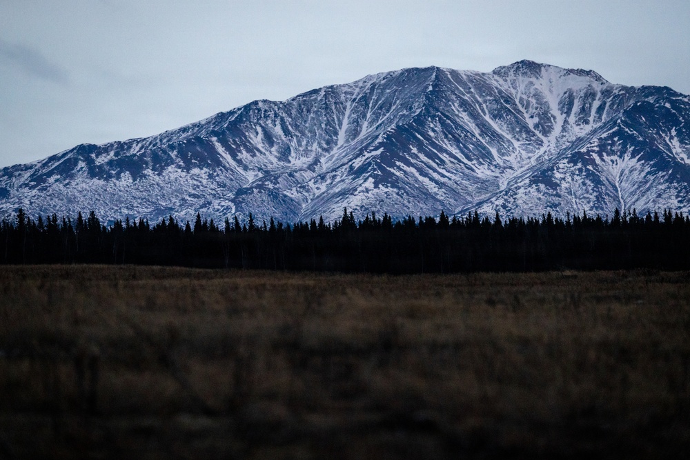 Military Police Train at JPMRC 2025