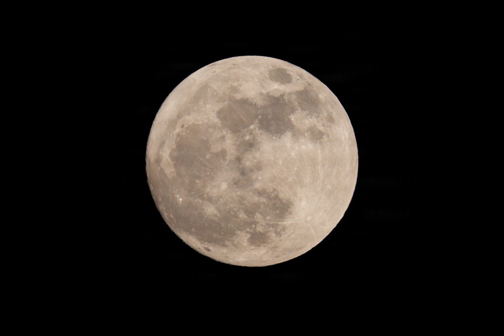 2025 USARC Best Squad Competition