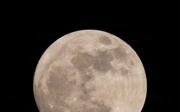 2025 USARC Best Squad Competition