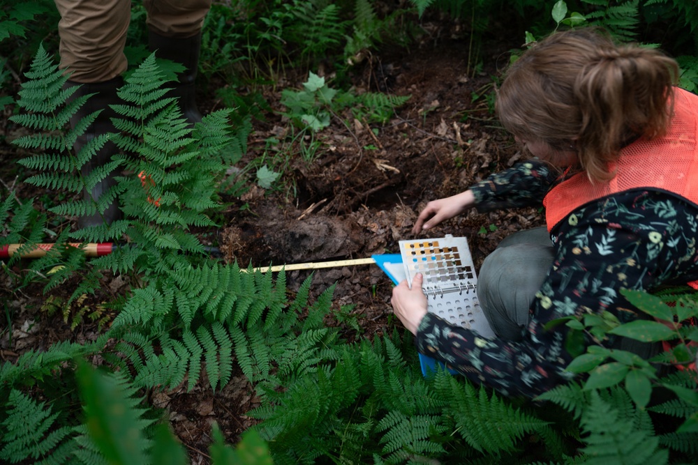 A Critical Resource | Wild Rice