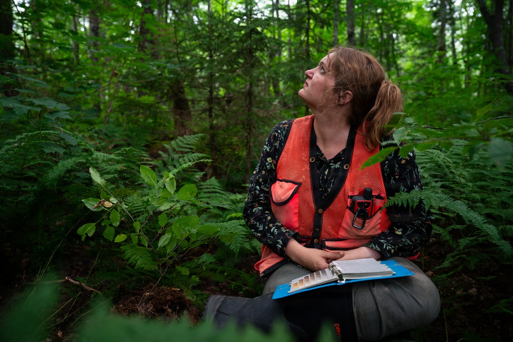 A Critical Resource | Wild Rice