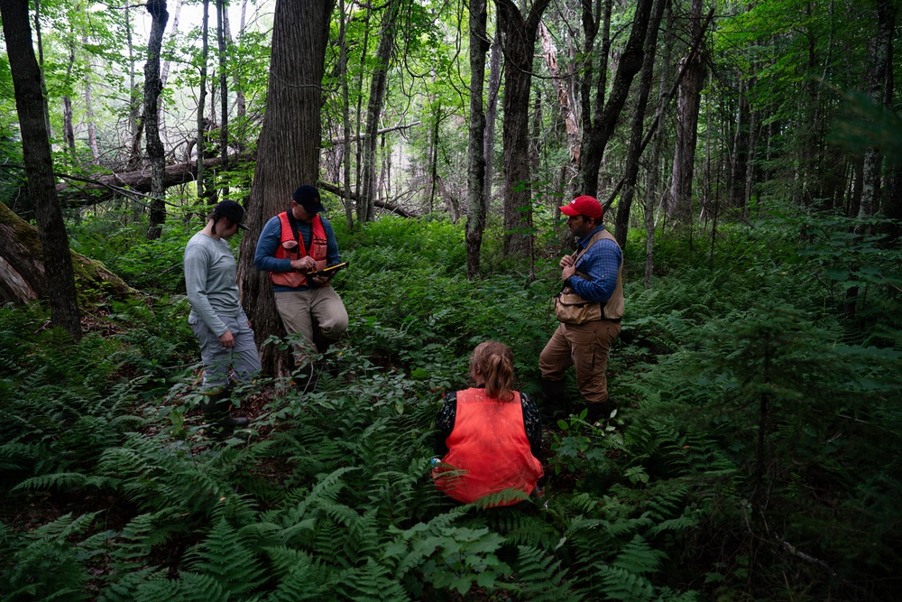 A Critical Resource | Wild Rice