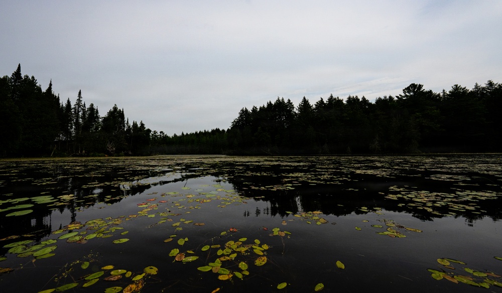 A Critical Resource | Wild Rice