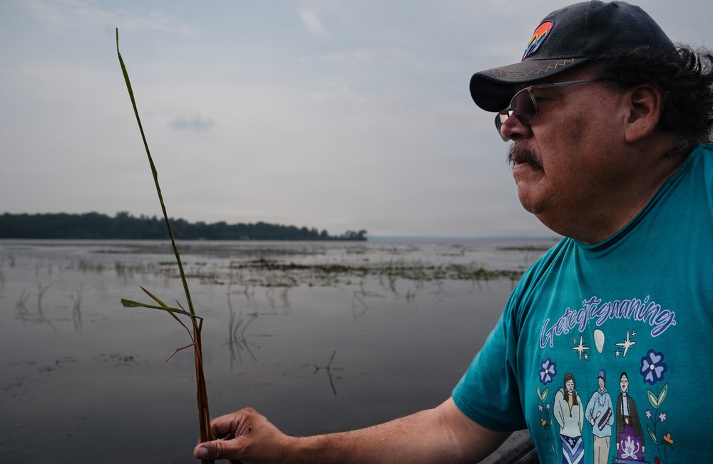 A Critical Resource | Wild Rice