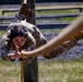USARC Best Squad Competition Obstacle Course