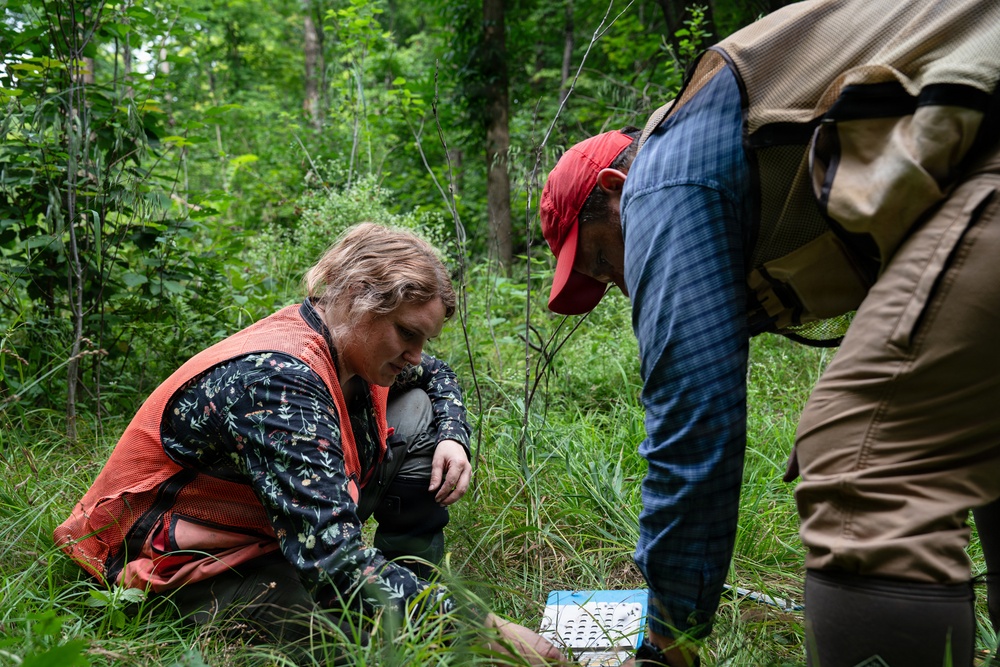 A Critical Resource | Wild Rice