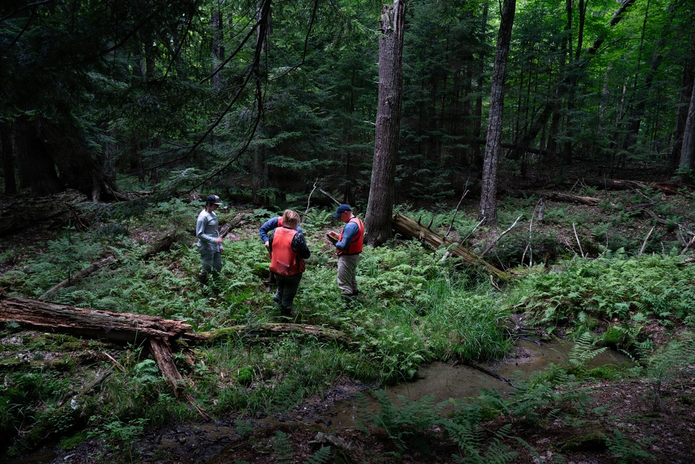 A Critical Resource | Wild Rice