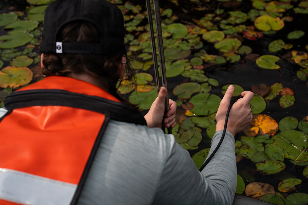A Critical Resource | Wild Rice