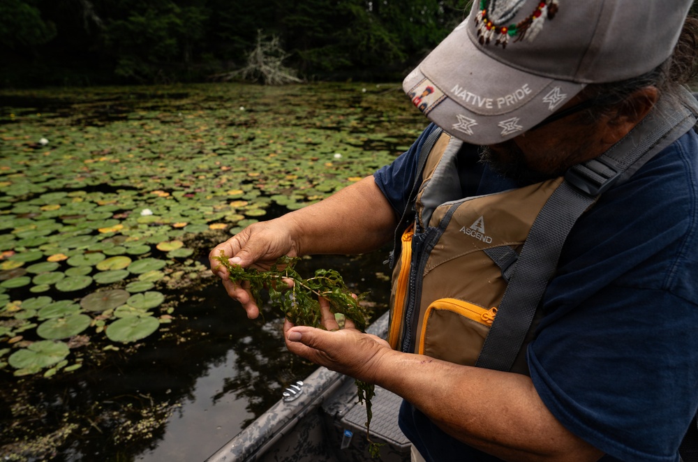 A Critical Resource | Wild Rice