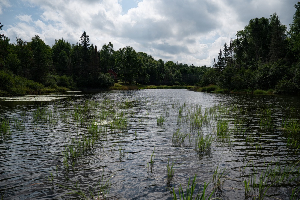 A Critical Resource | Wild Rice