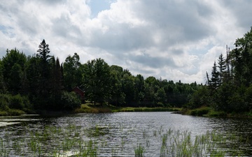 A Critical Resource | Wild Rice