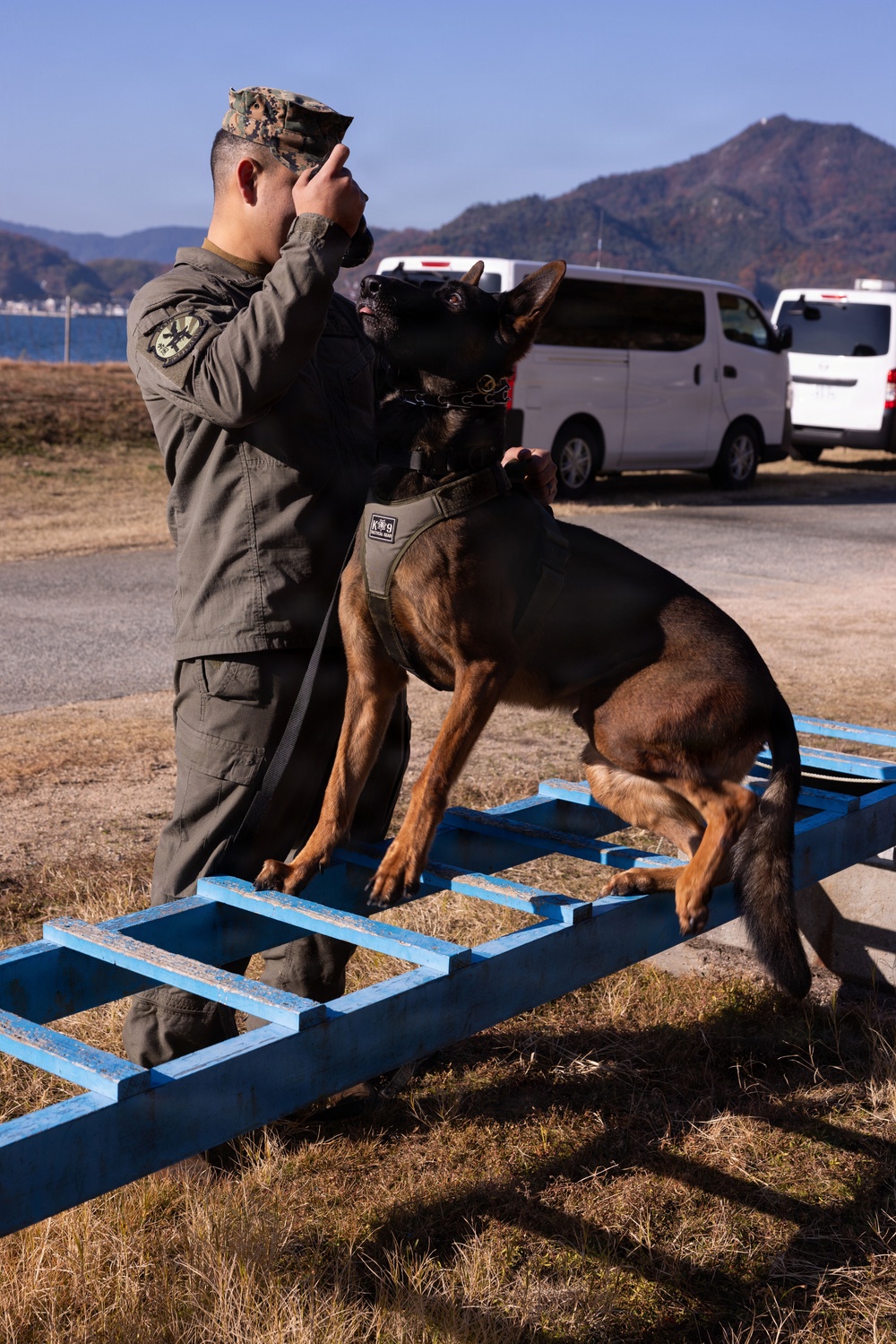 MCAS Iwakuni Military Working Dog Handlers Train at JMSDF Kure Naval Base, Japan