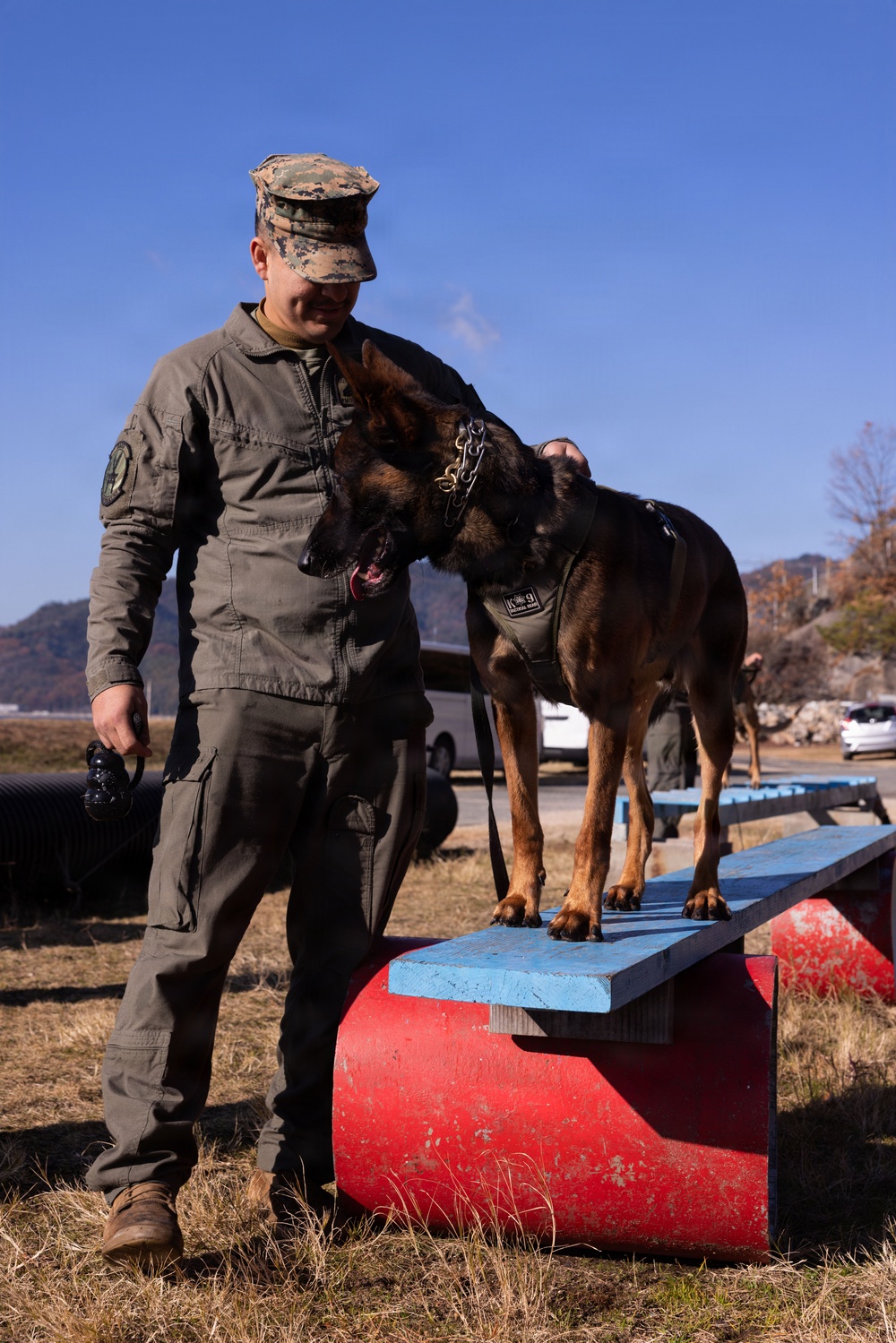 MCAS Iwakuni Military Working Dog Handlers Train at JMSDF Kure Naval Base, Japan