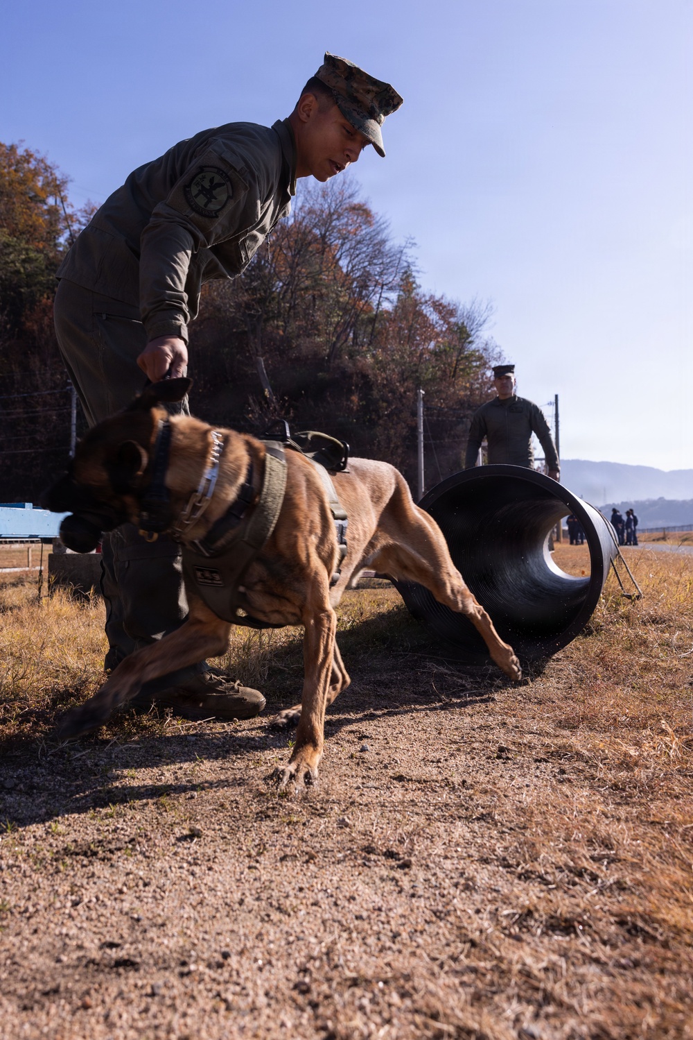 MCAS Iwakuni Military Working Dog Handlers Train at JMSDF Kure Naval Base, Japan