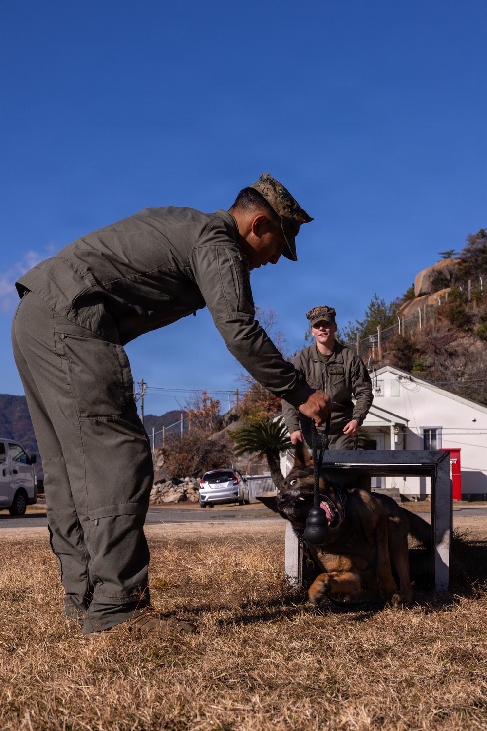 MCAS Iwakuni Military Working Dog Handlers Train at JMSDF Kure Naval Base, Japan
