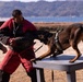 MCAS Iwakuni Military Working Dog Handlers Train at JMSDF Kure Naval Base, Japan