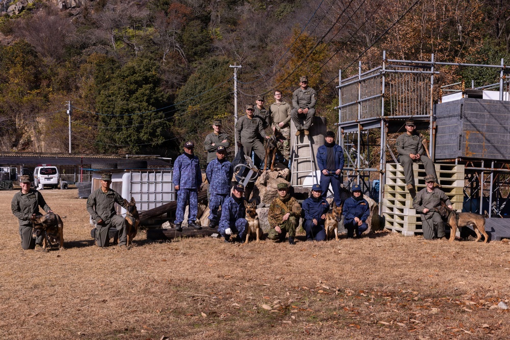 MCAS Iwakuni Military Working Dog Handlers Train at JMSDF Kure Naval Base, Japan
