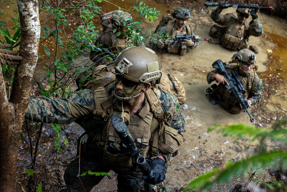 31st MEU Lima Co. conducts simulated Helo Raid