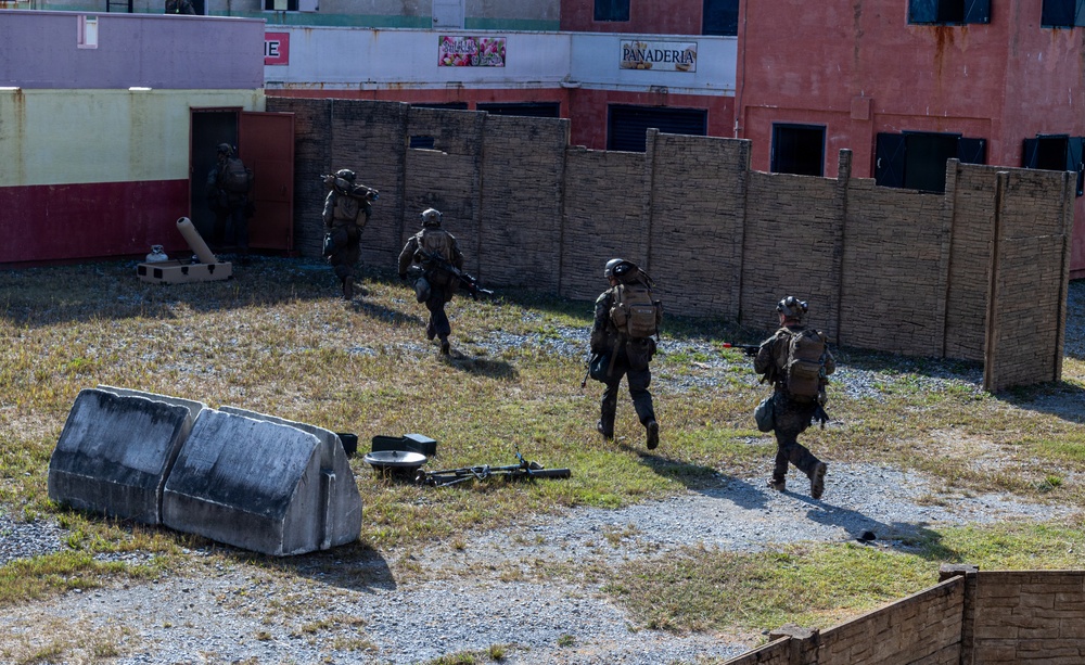 31st MEU Lima Co. conducts simulated Helo Raid