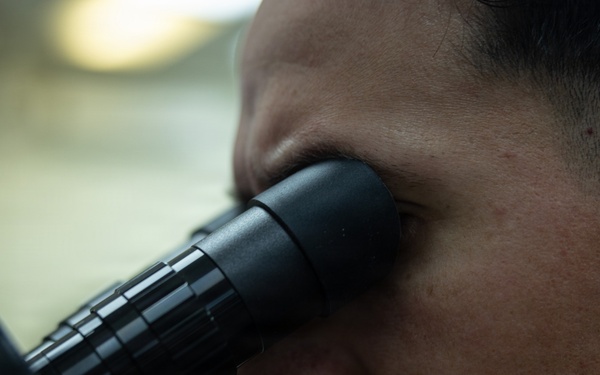 12th LCT Marine, Alaska Native Awarded the Gold Disk Program Award