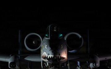 AFCENT caps 2025 with decisive operations, strengthened partnerships across CENTCOM AOR