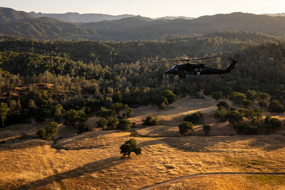 158th Aviation Regiment Provides MEDEVAC for Mojave Falcon 25