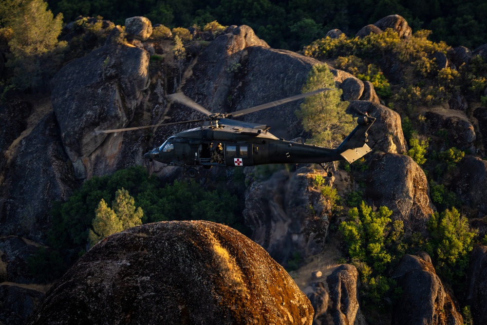 158th Aviation Regiment Provides MEDEVAC for Mojave Falcon 25