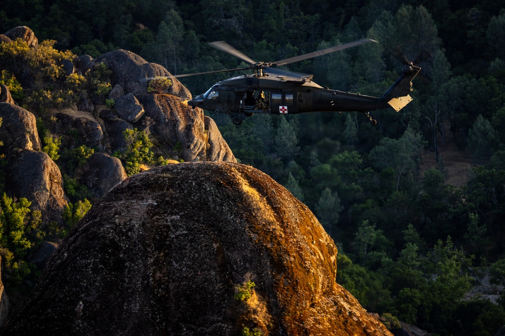 158th Aviation Regiment Provides MEDEVAC for Mojave Falcon 25