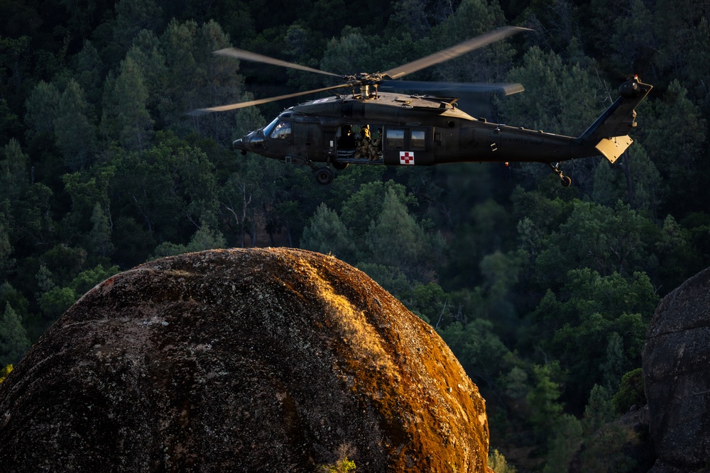 158th Aviation Regiment Provides MEDEVAC for Mojave Falcon 25